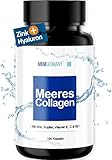 MBMGermany® Meeres Kollagen Kapseln [LACHS] + Hyaluronsäure, Zink, Kupfer, Vitamin E, C & B2 + Laborgeprüft bei Dr. Mang - 180 Collagen Kapseln